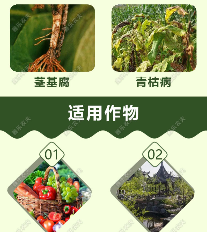 甲霜恶霉灵3%根腐猝倒死棵烂苗茎基腐软腐