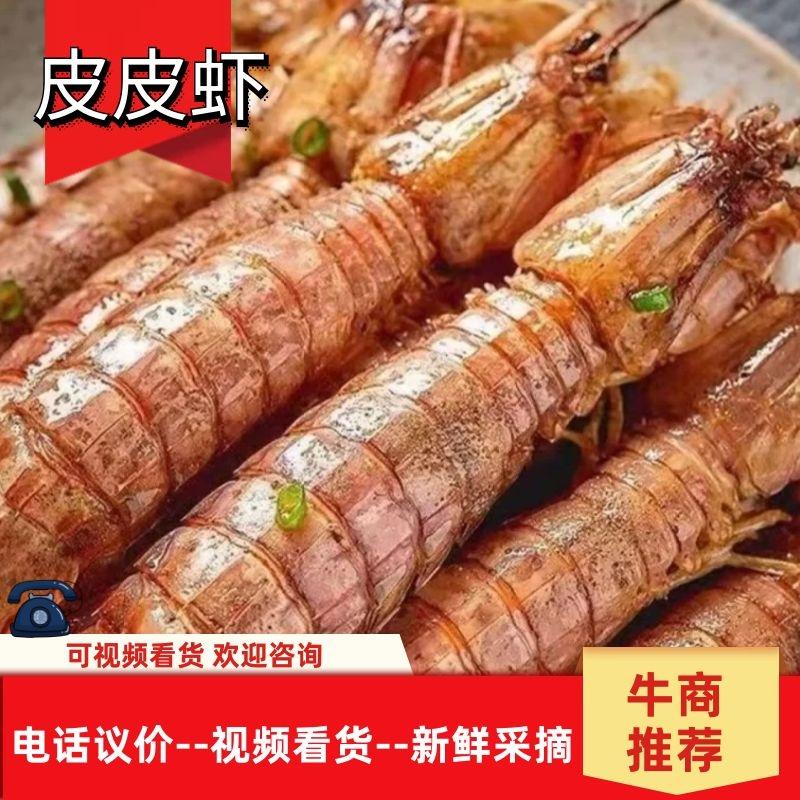 熟食皮皮虾价格优惠一手货源壳薄肉多只只肥美