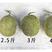 海南哈密瓜，小蜜25号大量有货价格下降，质量保障