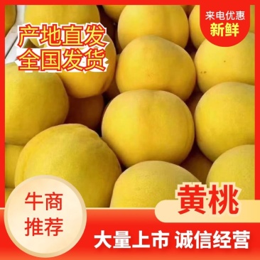 （精品）黄桃大量有货需要联系一亩田