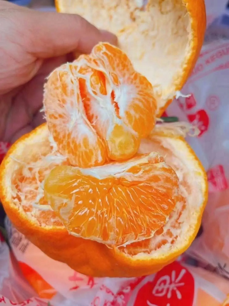 【丑橘】丑八怪不知火丑橘，对接市场，电商，出口产地直发