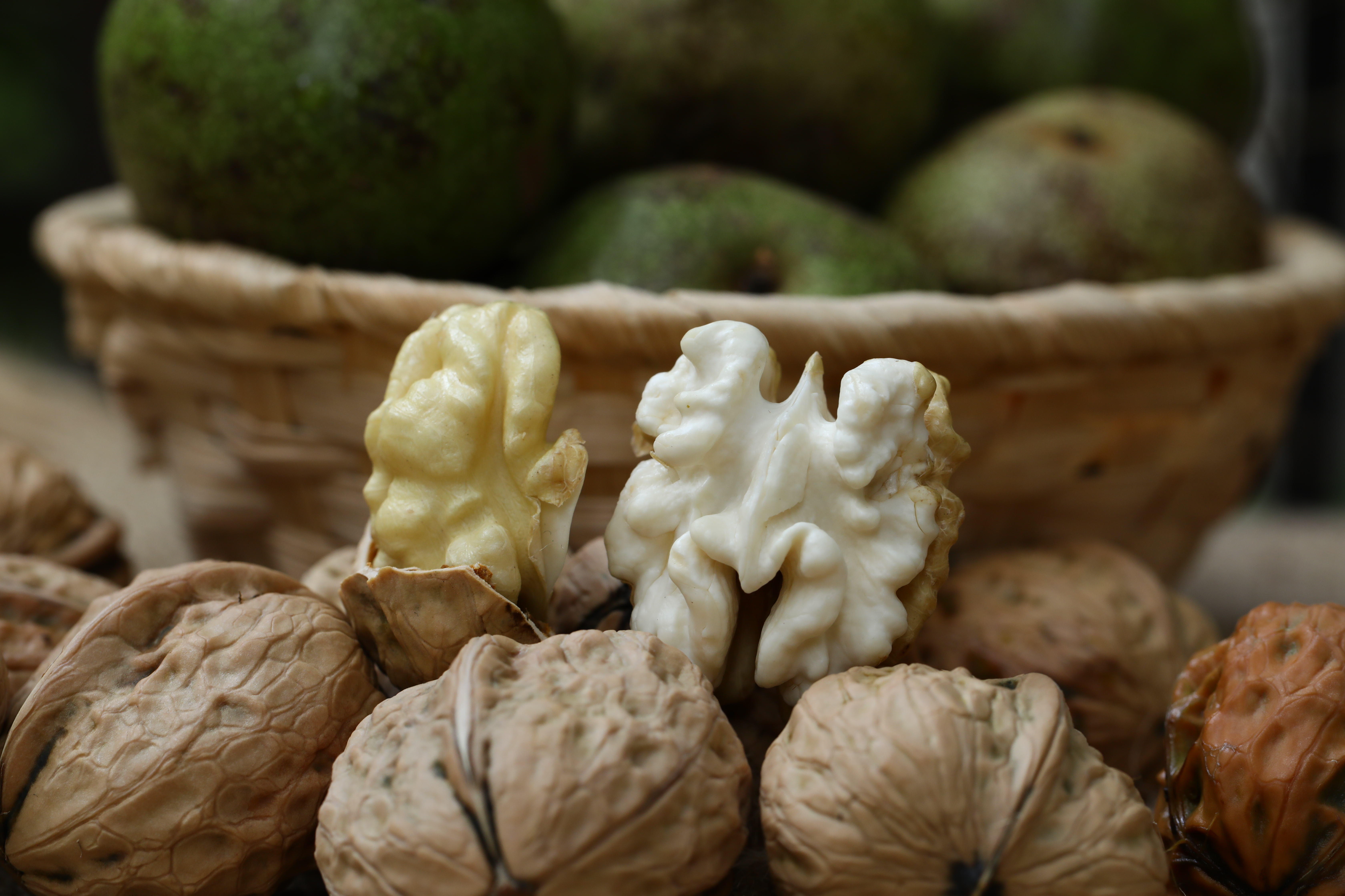 展示一颗完整的纸皮核桃被手工剥壳后露出完整果仁的过程 纸皮核桃剥壳过程展示