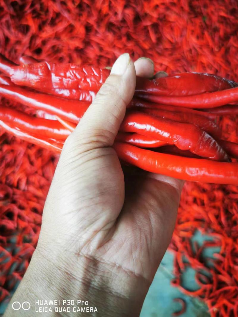 【热卖】优质红线椒红椒大量供货货源稳定产地供货市场商超电商