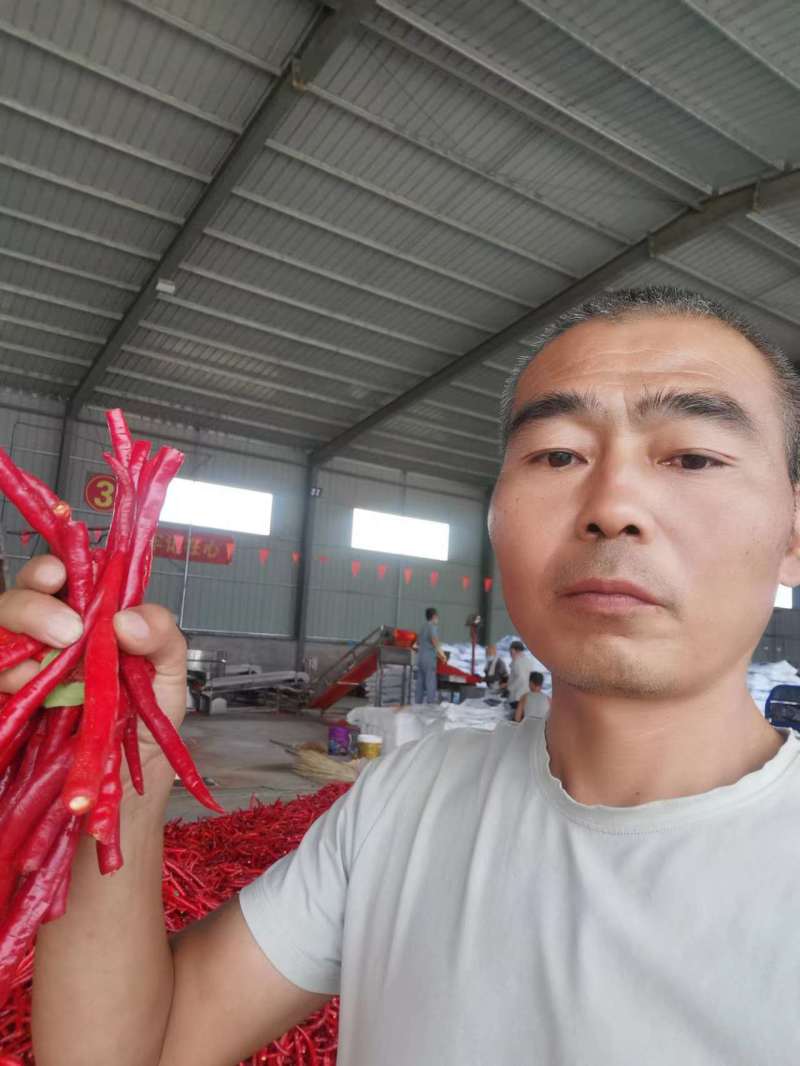 【热卖】优质红线椒红椒大量供货货源稳定产地供货市场商超电商
