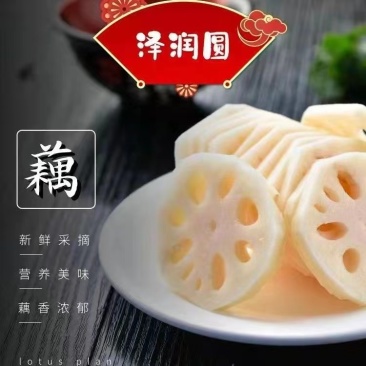 莲藕清水藕片火锅食材藕段可代发批发欢迎采购