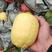 【精品柠檬】安岳黄柠檬一条龙发货长期供货规格齐全有需致电