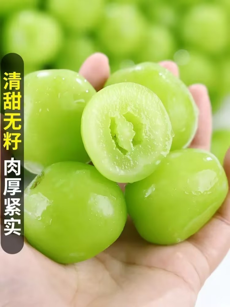 阳光玫瑰陕西渭南蒲城县基地直发，量大新鲜，甜度高