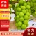 阳光玫瑰葡萄上市中,现采现发,新鲜直达,基地直供视频看货