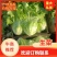 【热卖生菜】生菜新鲜供货散叶江苏产地可电话议价欢迎来电优惠