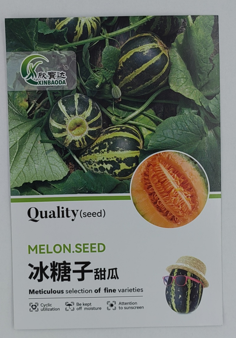 冰糖子甜瓜种子早熟甜脆爽口种植简单品质好耐贮运