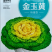 杂交黄心菜种子耐寒金玉黄露地越冬乌塌菜黄心白菜秋播蔬菜种