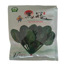 黑冠菠菜种子黑叶菠菜种子抗病耐寒耐热菠菜种子250克