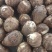 【毛芋头】山东精品毛芋头大量供应全国市场商超电商规格齐全
