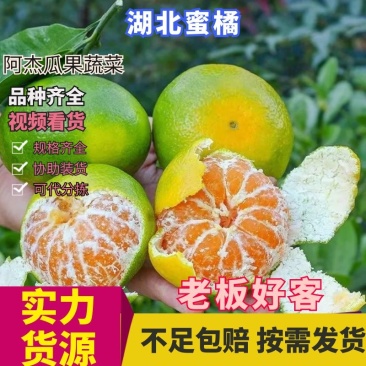 【规格齐全】湖北特早蜜桔精品大量上市可对接市场商超电商