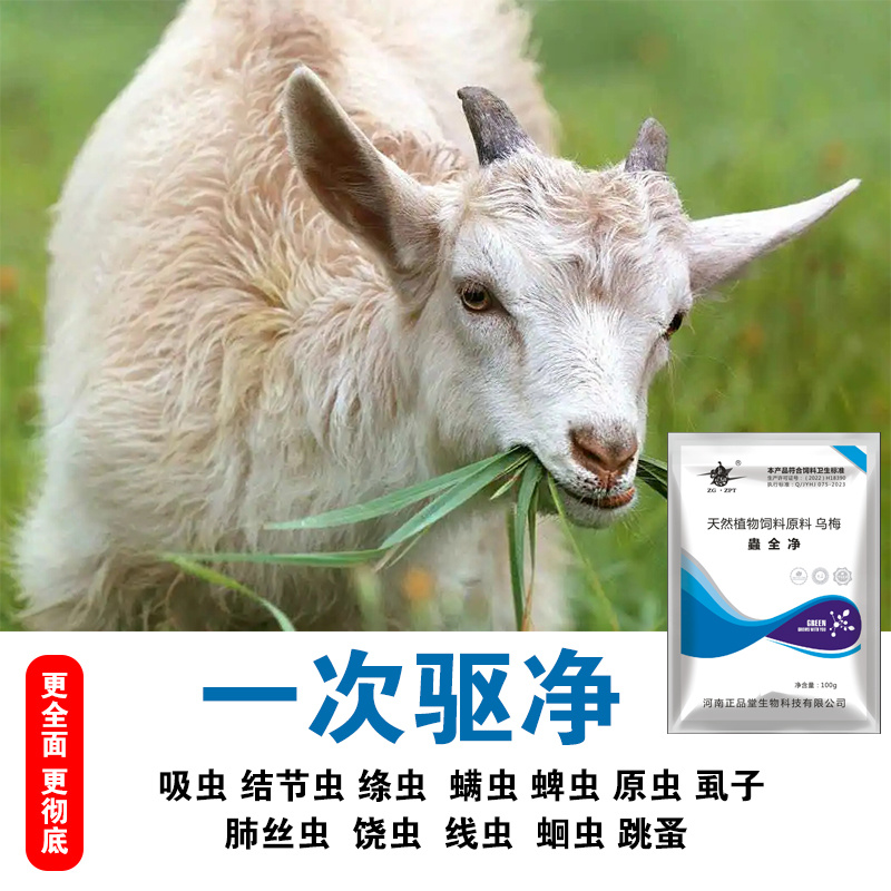 蛊全净