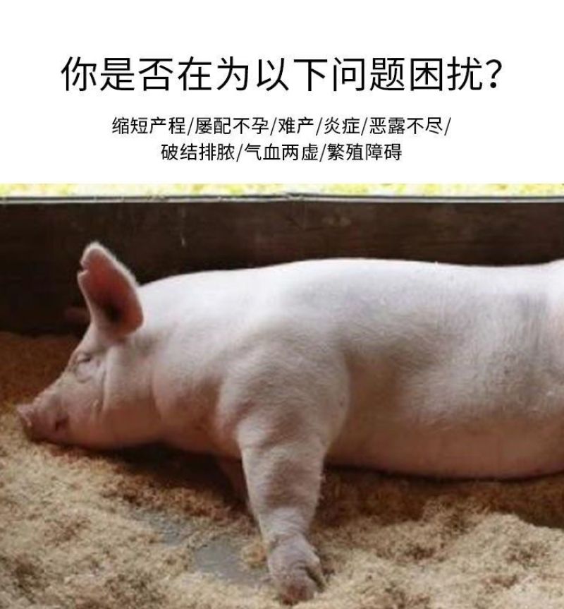 速产宝