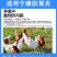 腺肌康