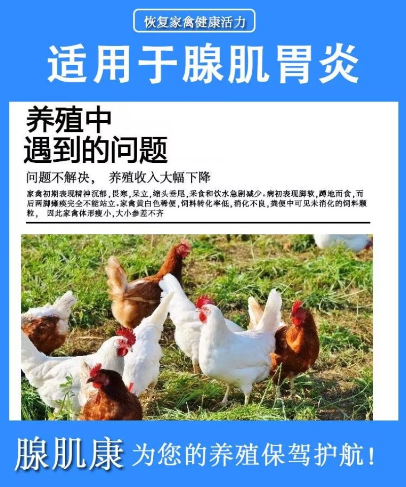 腺肌康