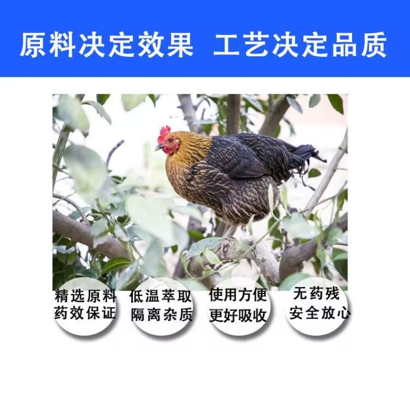 腺肌康