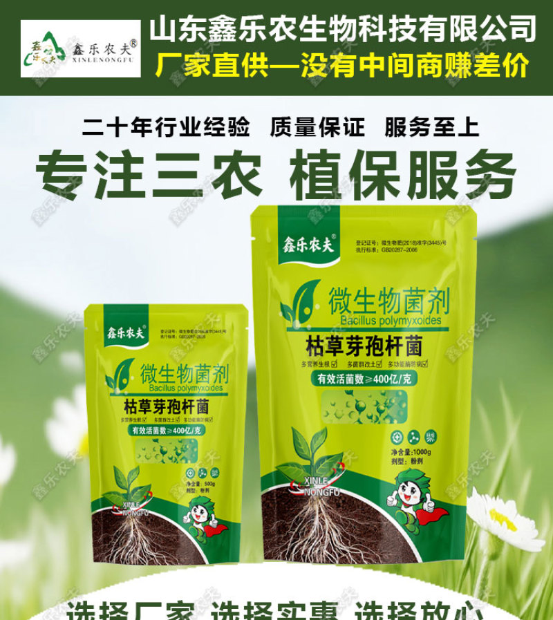 枯草芽孢杆菌生物菌剂提高肥效改良土壤抑制土传病害