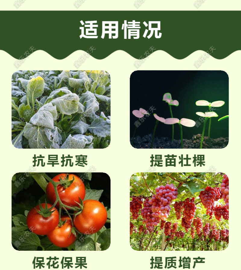 枯草芽孢杆菌生物菌剂提高肥效改良土壤抑制土传病害
