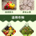 枯草芽孢杆菌生物菌剂提高肥效改良土壤抑制土传病害
