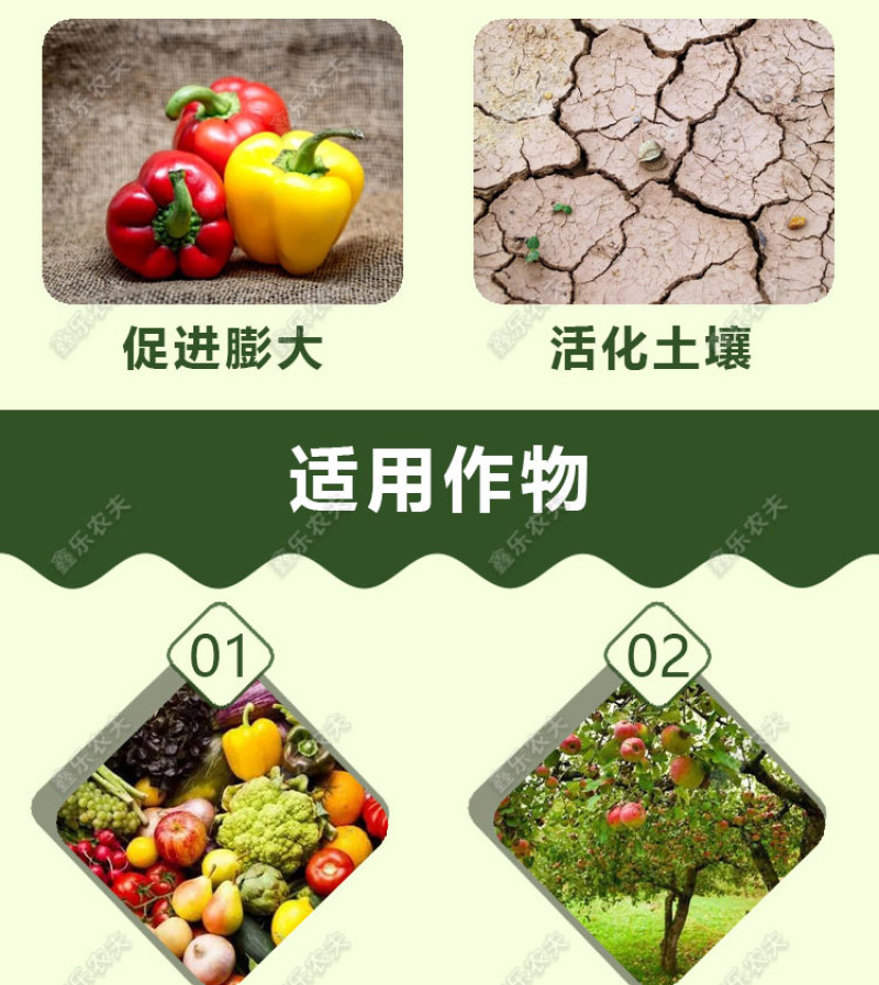 枯草芽孢杆菌生物菌剂提高肥效改良土壤抑制土传病害