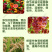 枯草芽孢杆菌生物菌剂提高肥效改良土壤抑制土传病害