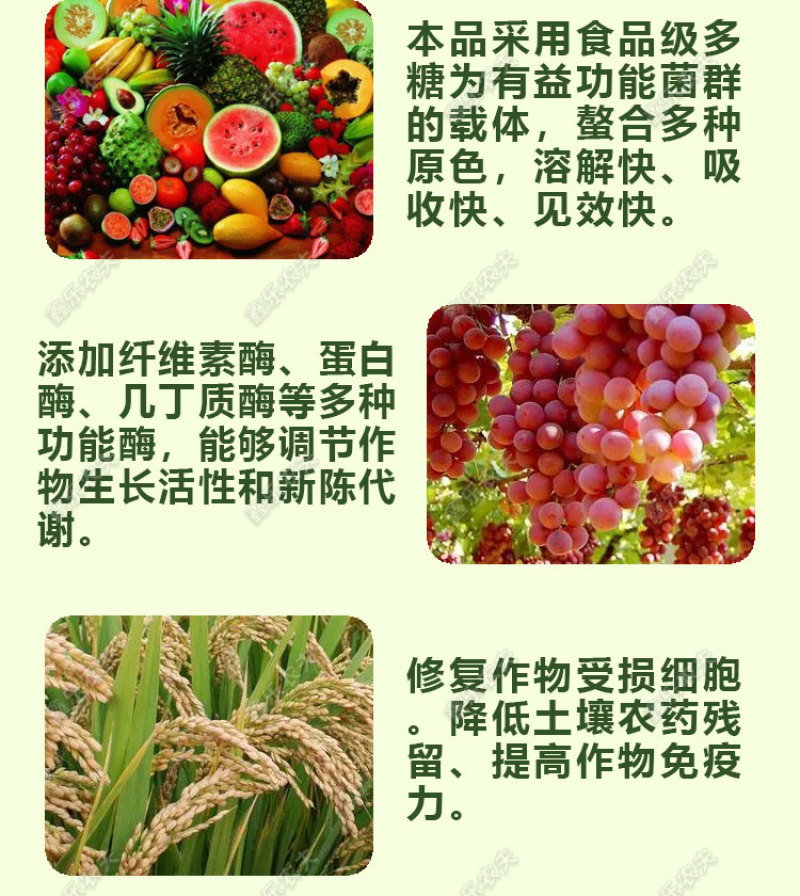 枯草芽孢杆菌生物菌剂提高肥效改良土壤抑制土传病害
