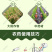 枯草芽孢杆菌生物菌剂提高肥效改良土壤抑制土传病害