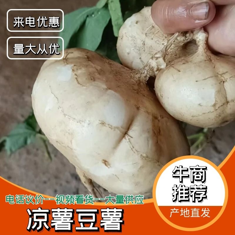 江西豆薯甜脆多汁口感好水分足皮易撕土地瓜水果型凉薯