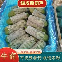 精品西葫芦大量新货上市价格低，瓜条长颜色绿，可视频看货