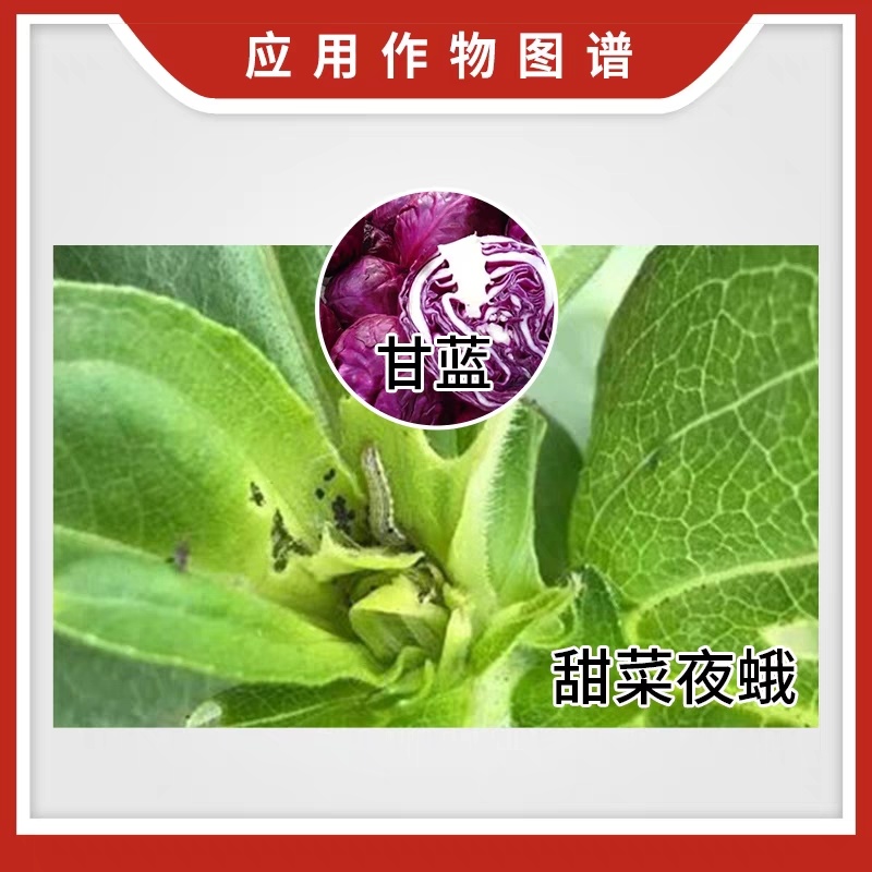 16%虫酰肼茚虫威蔬菜甘蓝甜菜夜蛾杀虫剂青虫吊丝虫