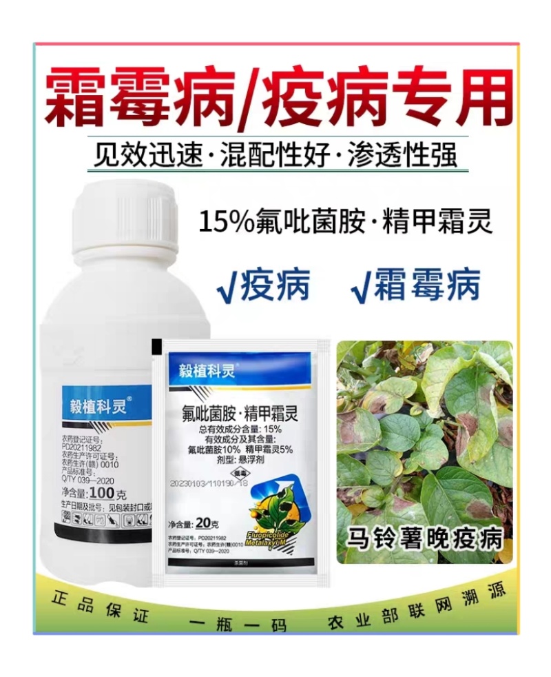 15%氟吡菌胺精甲霜灵马铃薯辣椒西红柿晚疫病杀菌剂
