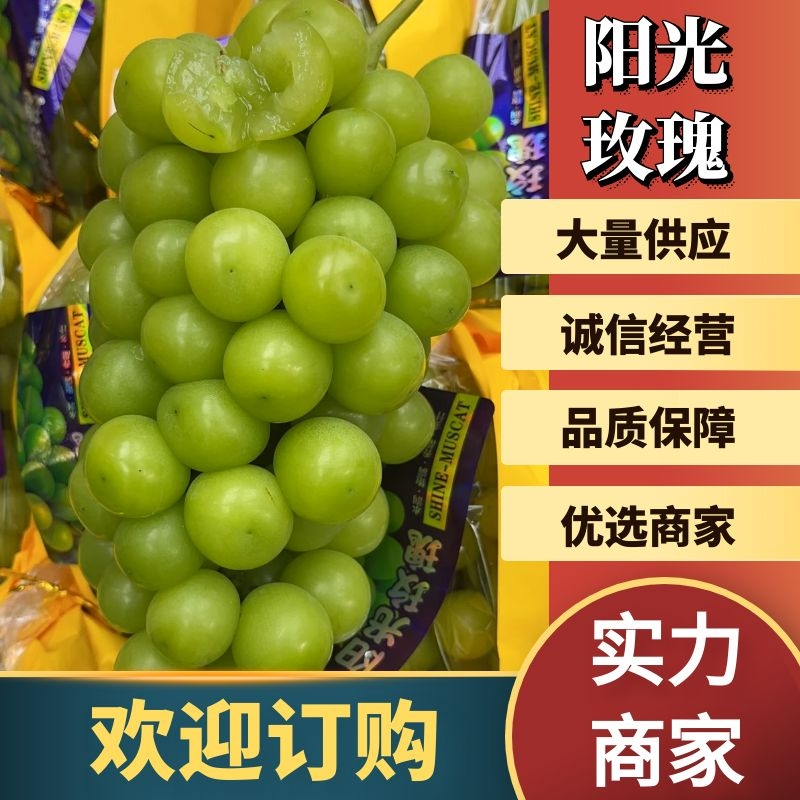 【安徽阳光玫瑰】阳光玫瑰葡萄颗粒大对接电商市场平台