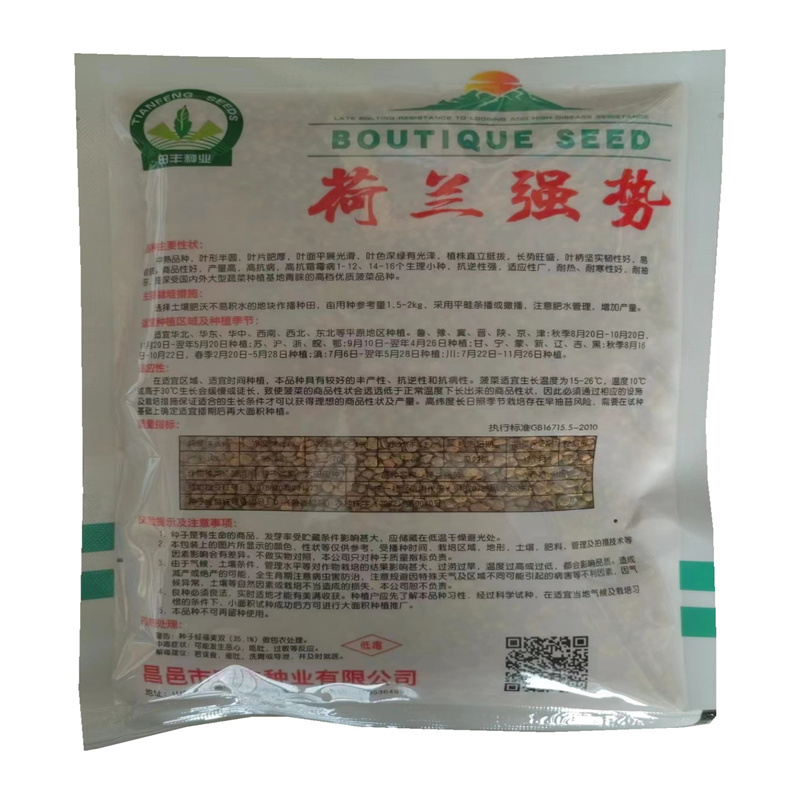 荷兰强势菠菜种子杂交大叶菠菜种子高抗病耐寒性好