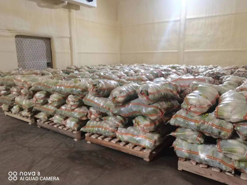 【萝卜】青萝卜精品白萝卜1到2斤大小匀称，整齐，颜色绿，