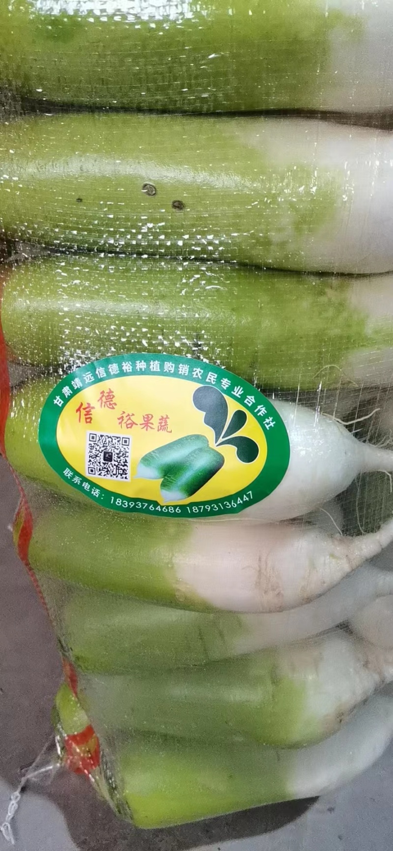 【萝卜】青萝卜精品白萝卜1到2斤大小匀称，整齐，颜色绿，