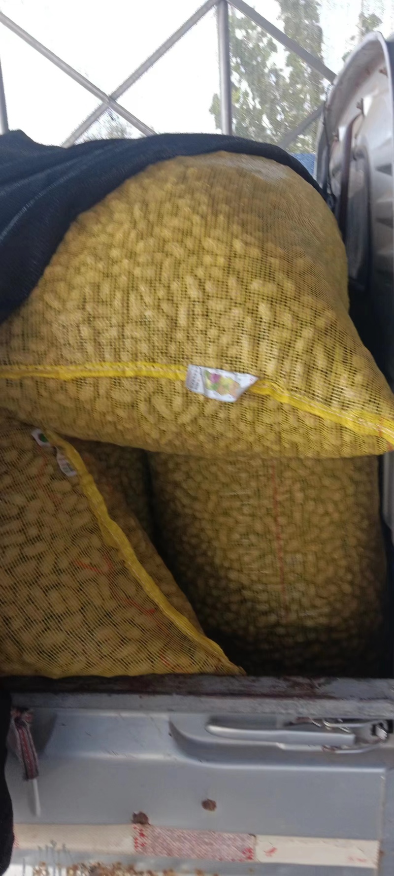 鲁花花生系列规格齐全产地直发欢迎选购