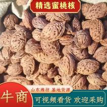 【精选】山东潍坊蜜桃核质量好货量充足欢迎订购