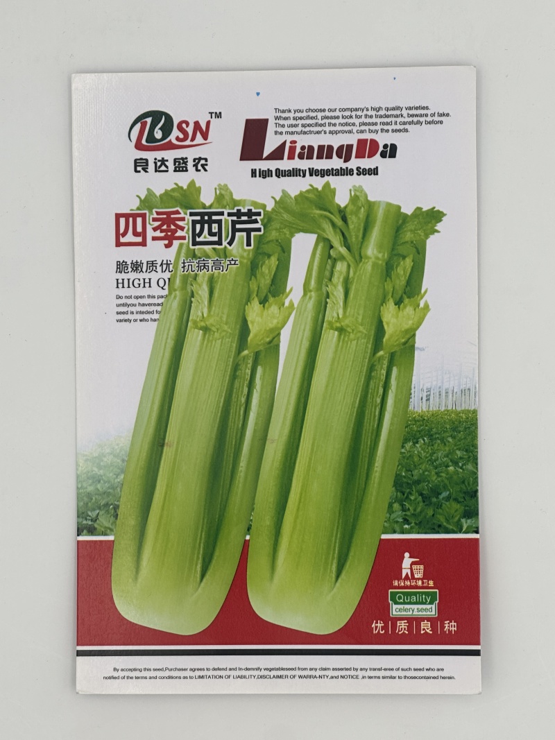 四季西芹芹菜种子叶柄宽厚心实纤维少生长速度快优质良种