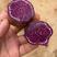 江西精品紫薯大量上市软糯香甜现挖先发欢迎来电咨询