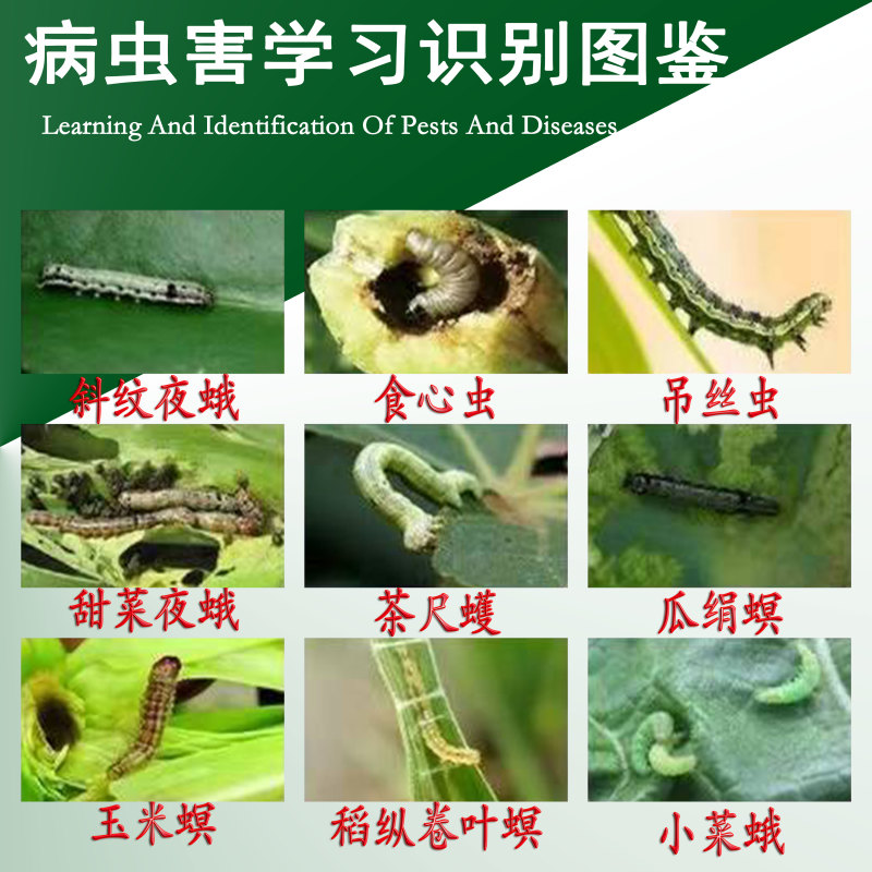 16%甲维茚虫威稻纵卷叶螟小菜蛾菜青虫食心虫二化螟玉米螟