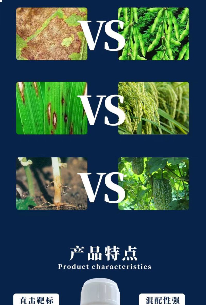 30%甲霜恶霉灵死苗烂根专用根腐病枯萎病猝倒病立枯病农药