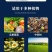30%甲霜恶霉灵死苗烂根专用根腐病枯萎病猝倒病立枯病农药