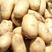 张北土豆大量有货，质量好价格低有需要的老板速度联系