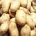 张北土豆大量有货，质量好价格低有需要的老板速度联系