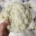 精品有机花菜松花菜货源充足价格优惠白面青梗大量供应