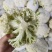 精品有机花菜松花菜货源充足价格优惠白面青梗大量供应