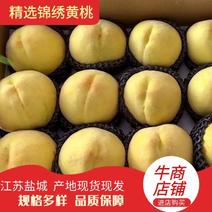 锦绣黄桃大量上市产地直发保质保量欢迎订购